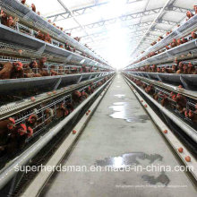 Ferme automatique de cage de poulet pour des couches avec la description de GV